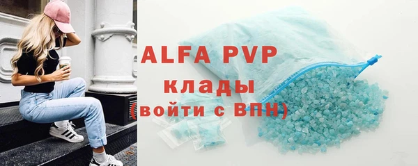 индика Олёкминск