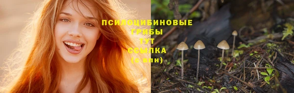дистиллят марихуана Магас