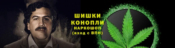 гашик Мурманск