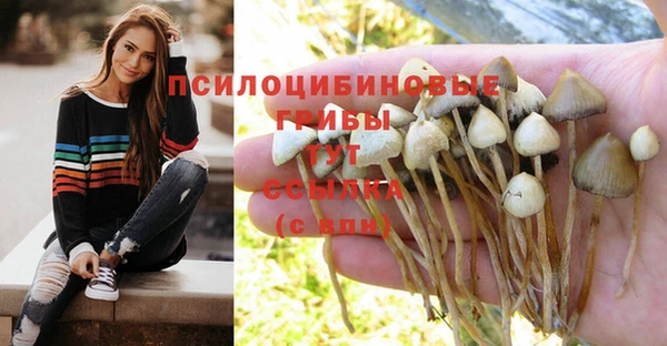 дистиллят марихуана Магас