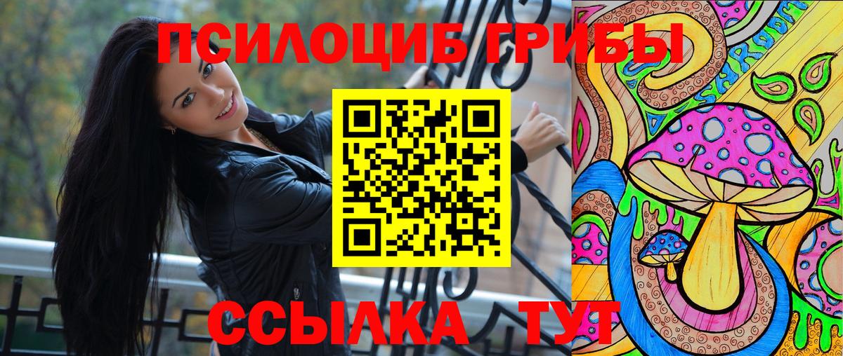 Псилоцибиновые грибы прущие грибы Кострома