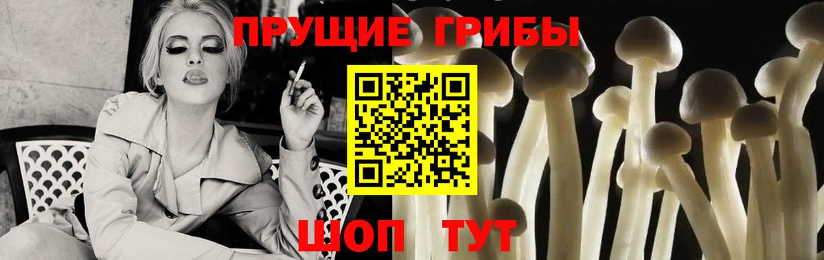 Галлюциногенные грибы ЛСД  Вход с VPN  Кострома 